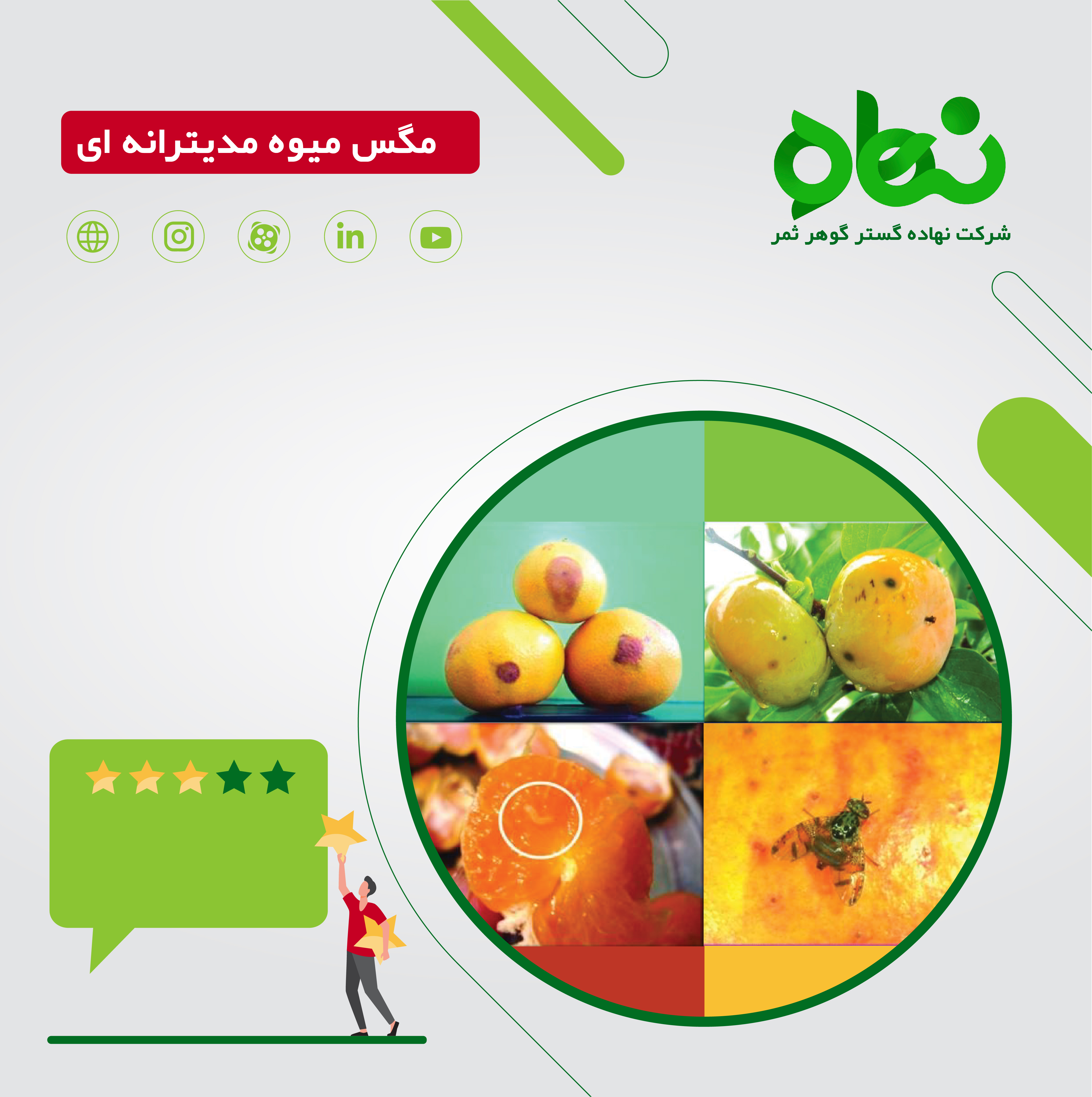 آفت قرنطینه ای مگس میوه مدیترانه ای 1389